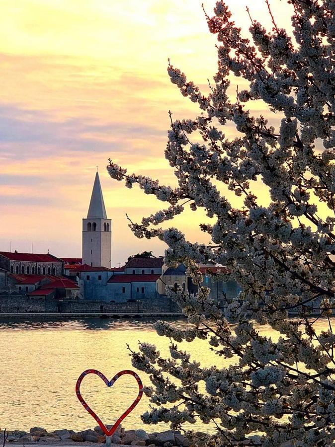 Apartman Perla Deluxe Porec Bagian luar foto